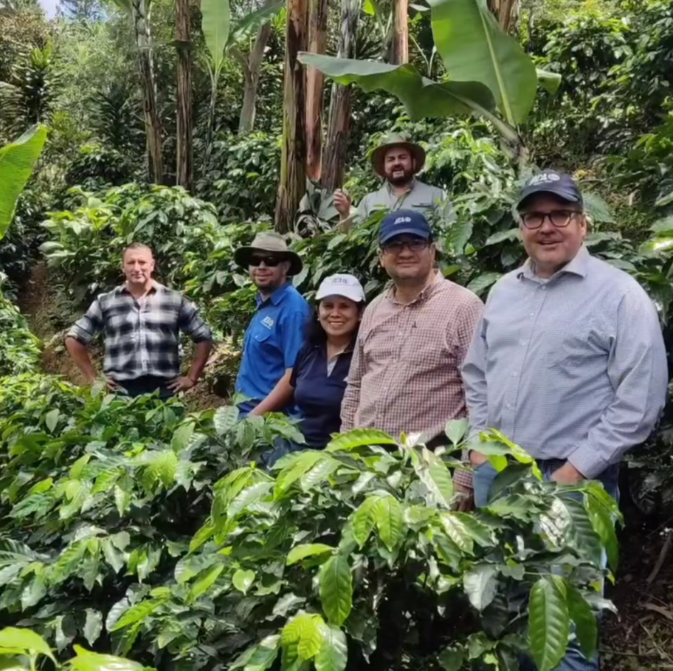 Visita del IICA a Finca Chelsea